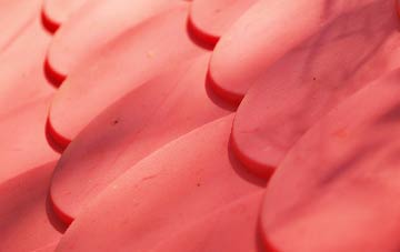 Muirtack plastic roof costs